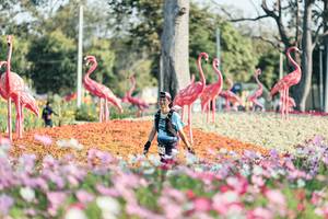 BIB: 
                            <button type="button" onclick="openModal(27344234)" class="btn btn-primary btn-sm float-right btn-popup" data-toggle="modal" data-target=".modal-high-quality">
                        <i class="fas fa-shopping-cart"></i> Add to Cart
                    </button>
                                            <button type="button" onclick="isThisMe(27344234, true)" class="btn btn-success btn-sm float-right btn-popup btn-isme hidden" data-toggle="tooltip" data-placement="bottom" title="นี่คือรูปของคุณใช่ไหม คลิกที่นี่เพื่อเอาเข้าอัลบั้ม">
                        <i class="fas fa-plus"></i> Add to album
                    </button>
                    <button type="button" onclick="isThisMe(27344234, false)" class="btn btn-warning btn-sm float-right btn-popup btn-isnotme hidden">
                        <i class="fas fa-ban"></i> Remove from album
                    </button>